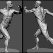 Modelado anatomia. Projekt z dziedziny 3D użytkownika Rafa Zabala - 13.05.2017