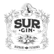 SUR GIN. Design, Illustration, Packaging, and Lettering project by Diego Giaccone - 01.24.2018