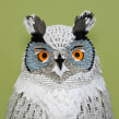 Wise Owl. . Un proyecto de Ilustración, 3D, Diseño de personajes, Diseño editorial y Papercraft de Diana Beltran Herrera - 29.01.2018