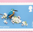 Kingfisher postage stamp. . Ilustração tradicional, 3D, Design de cenários, Papercraft e Ilustração digital projeto de Diana Beltran Herrera - 23.05.2018