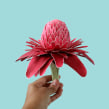 Torch ginger. 3D, Fine Arts, Set Design, and Paper Craft project by Diana Beltran Herrera - 07.03.2019