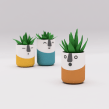 Happy Planter Collection. 3D Modeling project by Agustín Arroyo - 07.12.2019