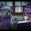 Champion Cat Ninja. Un proyecto de 3D, Animación de personajes, Animación 3D y Diseño de personajes 3D de Juan Paulo Mardónez - 19.08.2019