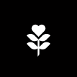 La Bralette. Een project van Traditionele illustratie,  Art direction,  Br, ing en identiteit, Grafisch ontwerp, Packaging,  Modeontwerp y Modefotografie van Saturna Studio - 28.10.2019