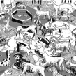 Libro Discurso de José Revuelvtas a los perros en el Parque Hundido. Un proyecto de Ilustración de Santiago Solís Montes de Oca - 22.01.2020