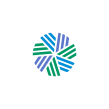 CFA Institute. Logo Design project by Sagi Haviv - 04.09.2020