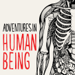 Cover illustration and typography for Adventures in Human Being by Gavin Francis. Illustration, T, and pograph project by Sarah King - 07.11.2017