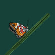 Malay Lacewing butterfly . Escultura, Concept Art, Design de personagens 3D, e 3D Design projeto de Diana Beltran Herrera - 04.06.2020