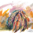 Hermit Crabs. Illustration project by Laura McKendry - 06.28.2020