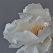 Single paper flowers. Un proyecto de Artesanía, Papercraft y Decoración de interiores de Eileen Ng - 21.07.2020