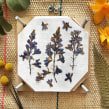 The pressed flowers lab by Happy Green Family. Creativit project by Happy Green Family - 10.21.2020