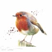 Round robin. Watercolor Painting project by Sarah Stokes - 10.22.2020