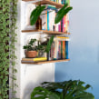 Tudo que você precisa saber sobre as melhores plantas para sua casa!. Un proyecto de Arquitectura, Diseño interactivo, Paisajismo y Decoración de interiores de Daniel Virgnio - 04.11.2020