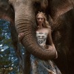 D´SCENE: Autumn For The Elephants. Photograph project by Jvdas Berra - 06.16.2016