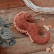 HIPOCAMPO . Un proyecto de Tejido de Príncipe del Crochet - 13.01.2021
