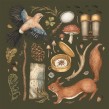 2021 Calendar. Un proyecto de Ilustración tradicional, Ilustración botánica e Ilustración naturalista				 de Jessica Roux - 29.09.2020