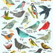 Birds of Portland Ein Projekt aus dem Bereich Illustration von Kate Sutton - 05.09.2020