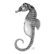Caballito de mar patagónico (Hippocampus patagonicus). Un proyecto de Dibujo a lápiz, Dibujo realista e Ilustración naturalista				 de Julia Rouaux - 04.09.2008