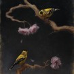 Gold Finches and Cherry Blossoms. Artes plásticas, Pintura, Pintura a óleo e Ilustração naturalista projeto de Sarah Margaret Gibson - 03.05.2021