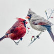 Watercolour cardinals on watercolour paper, 638 gm by St Cuthberts Mill. Un progetto di Pittura ad acquerello di Sarah Stokes - 16.07.2021