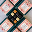 Exploring the Spice Route with Mirzam, Dubai based chocolate makers . A Illustration, Fine Art, Product Design, and Post-production project by Maaida Noor - 07.18.2021