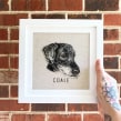 Embroidered Pet Portraits. Design, Arts, Crafts, Embroider, and Fiber Arts project by Cristin Morgan - 08.06.2021
