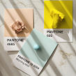 Selecting a Cohesive Color Palette. Un proyecto de Diseño de complementos, Diseño de jo y as de Rachael, Made by Maeberry - 23.08.2021