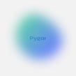 Pygar. Design, Software Development, UX / UI, Art Direction, Web Design, and Web Development project by Adoratorio Studio - 06.11.2019