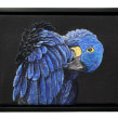 Hyacinth Macaw Portrait. Un proyecto de Artesanía, Ilustración textil, Tejido e Ilustración naturalista				 de Dani Ives - 02.10.2021