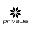 Analista Business Intelligence X PRIVALIA. Un proyecto de Informática y e-commerce de Alessia Casillo - 27.06.2021