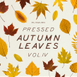 Pressed Autumn Leaves Vol.4. Fotografia, UX / UI, Redes sociais, e Design para redes sociais projeto de Sparrow & Snow - 25.10.2019