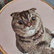 Minnie - Scottish Fold Tabby. Embroider project by Santo Cielo - 11.14.2021