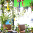 Zalando Berlin Fashion Week - Urban Jungle hangout and rooftop dinner. Un proyecto de Diseño de interiores, Escenografía, Decoración de interiores, Interiorismo, Retail Design, Diseño floral y vegetal de Igor & Judith - Urban Jungle Bloggers - 08.09.2017
