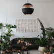 House Plant Travel - Brazil. Interior Design, Decoration, Instagram, Interior Decoration, Instagram Photograph, Instagram Marketing, Floral, and Plant Design project by Igor & Judith - Urban Jungle Bloggers - 04.10.2021