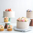 Buttercream Flower Cake & Cupcakes. Un proyecto de Diseño, Artesanía, Cocina y Artes culinarias de Liz Shim - 11.01.2022
