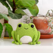 Prince Perry la rana / Prince Perry the frog. Un proyecto de Diseño de personajes, Creatividad, DIY, Crochet y Amigurumi de Ilaria Caliri - 20.01.2022