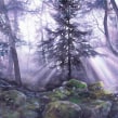 "Solitude in the Semi-Darkness" - how to paint trees in the misty forest. Un proyecto de Vídeo, Pintura a la acuarela y Edición de vídeo de Katarzyna Kmiecik - 04.02.2022
