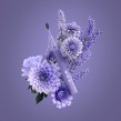 Burst Lavender. Un projet de 3D , et VFX de John Bashyam - 26.03.2022
