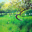 Painting grasses, meadows and flowers . Un proyecto de Pintura a la acuarela de Richard Thorn - 20.04.2022