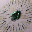 Jewel Beetle . Un proyecto de Artesanía, Bordado, Costura y Tejido de Talisa May - 22.05.2022