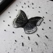 White Admiral Butterfly. Un proyecto de Artesanía, Bordado, Costura y Tejido de Talisa May - 22.05.2022