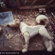 Dog marionette. Un projet de Artisanat, Beaux Arts, Sculpture, Créativité, Art to , et Menuiserie de Luděk Burian - 01.02.2023