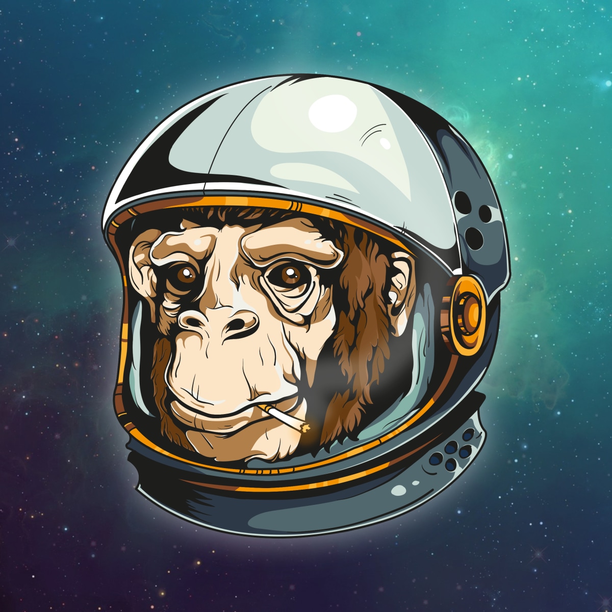 chimpanzee in space