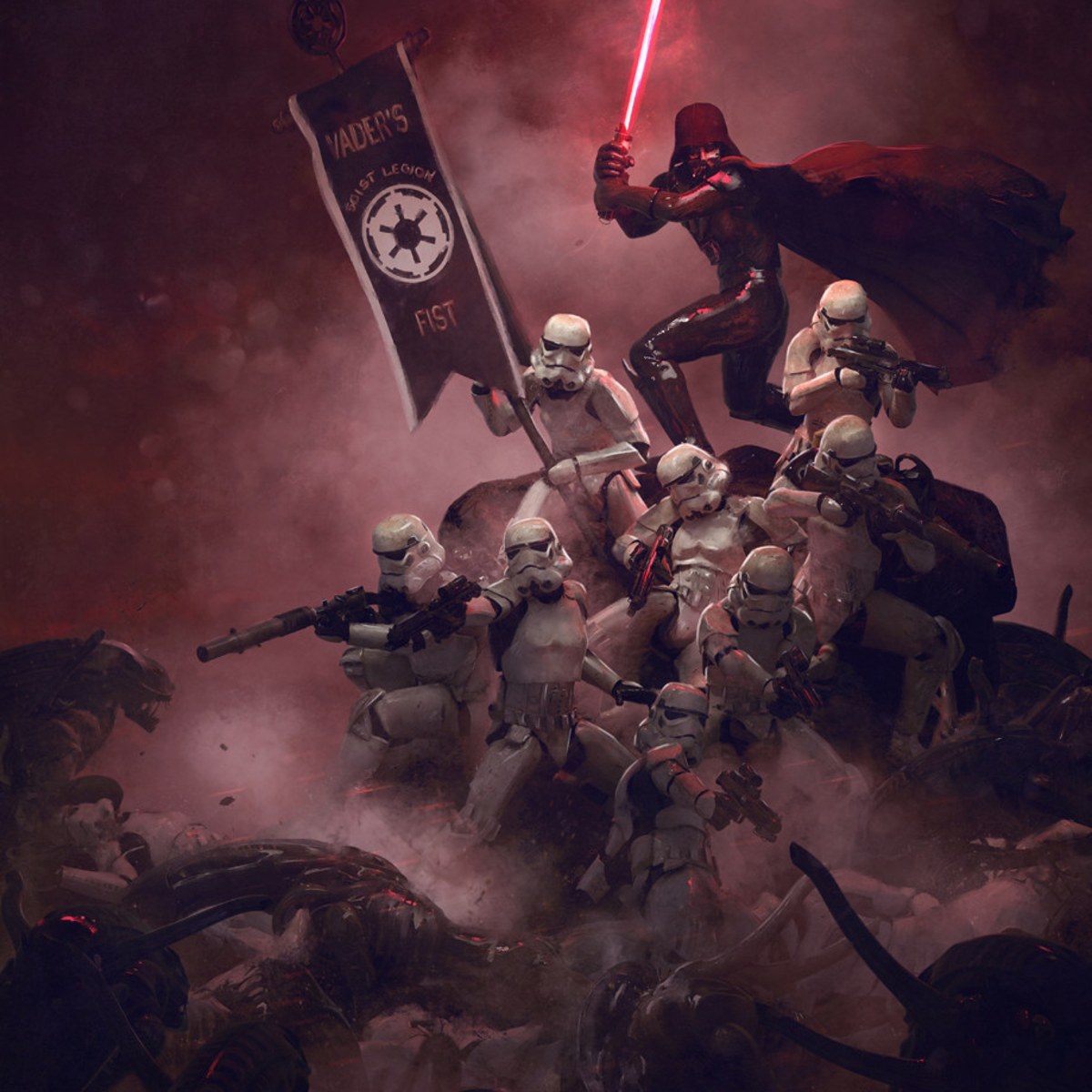 Generic Error Star wars  Star wars empire Star wars trooper 501st Legion  HD phone wallpaper  Pxfuel