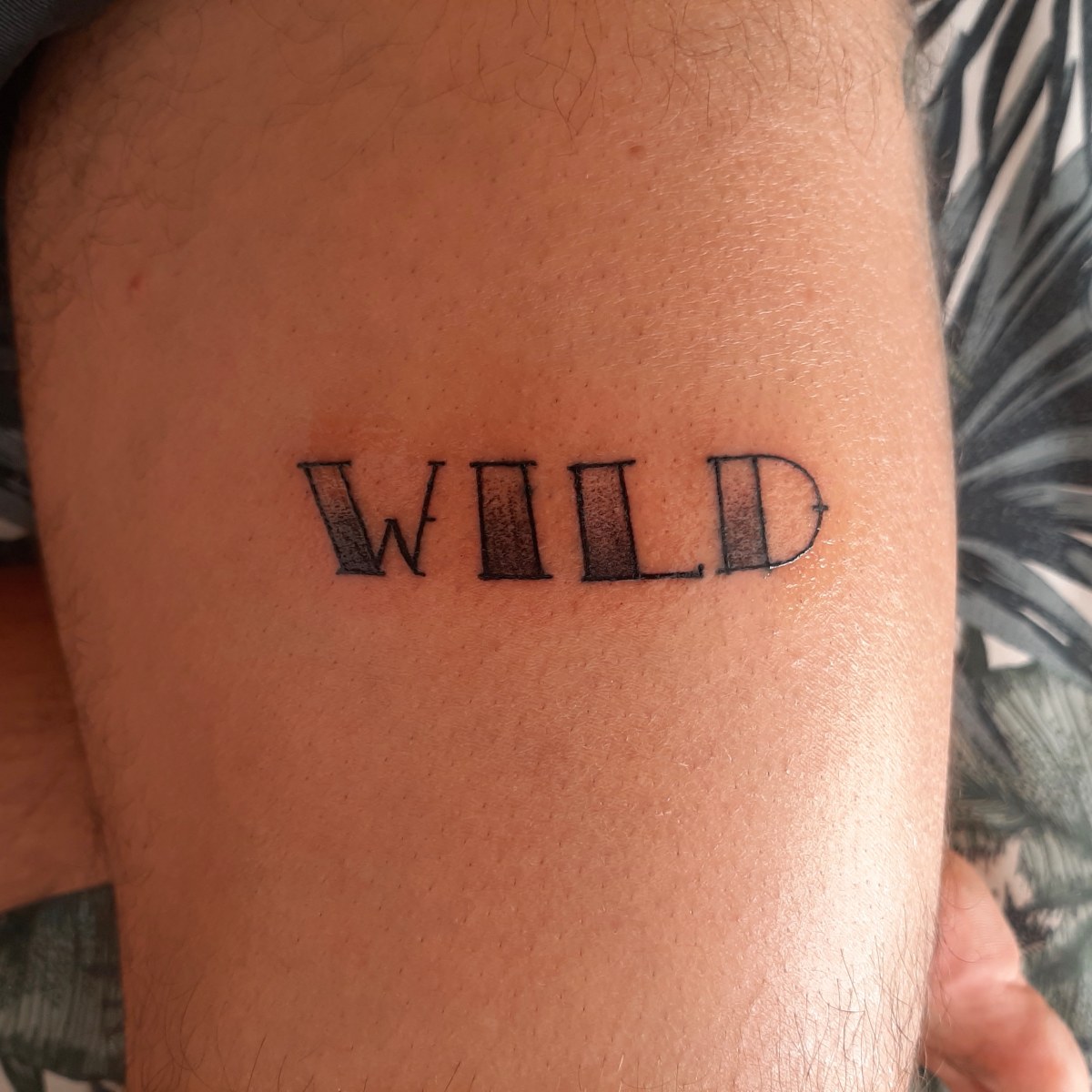 Stay Wild Around - New Technology | Temporary Tattoo | inkster – Inkster