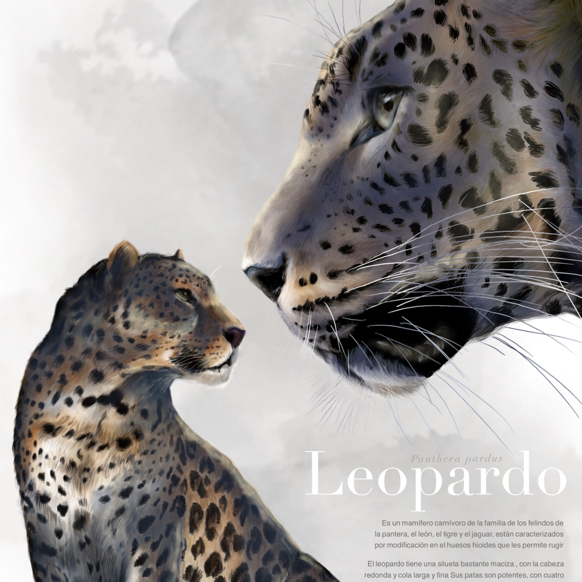Como pegar leopard #leopard#leopardopidao#vaiprofybct#fypシ