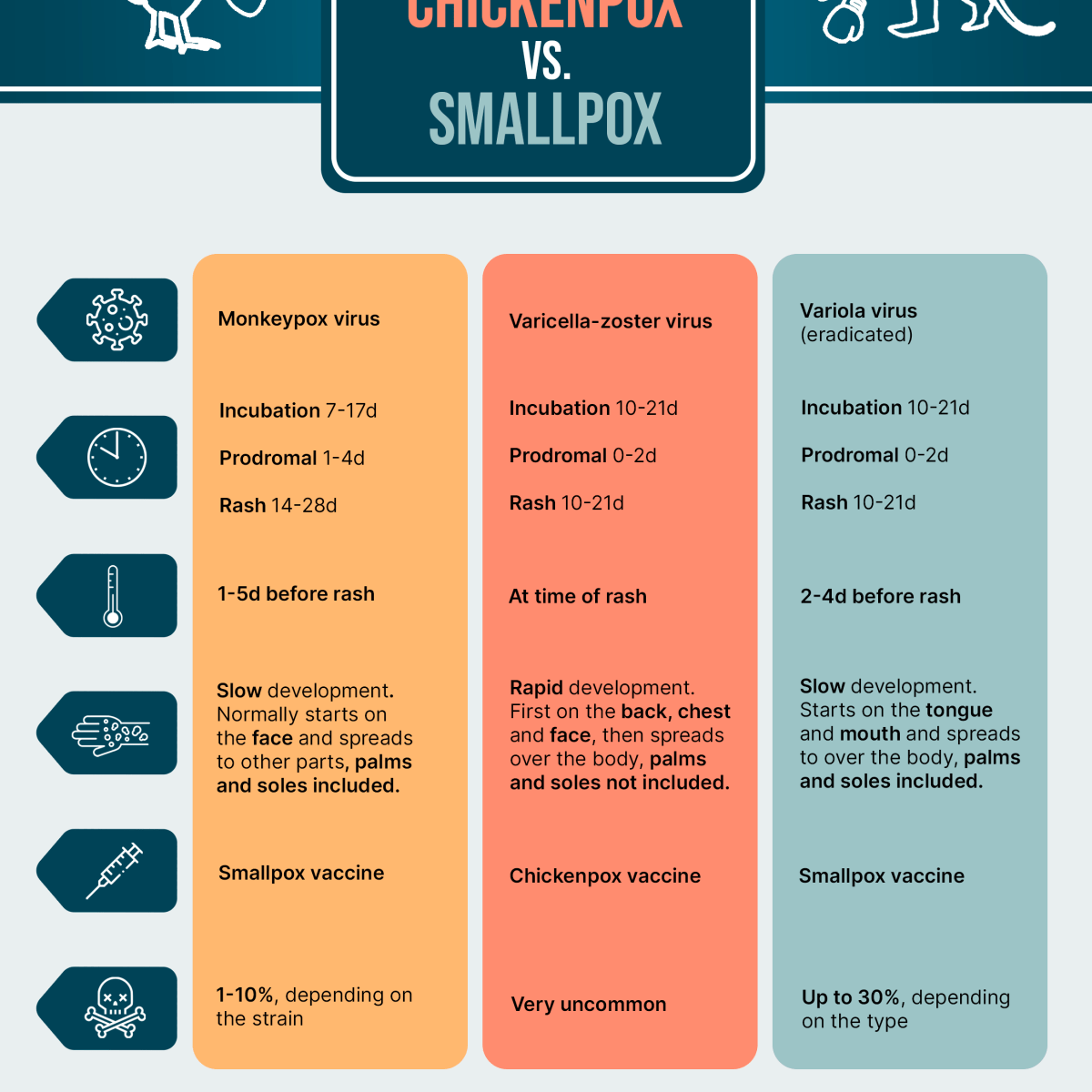 Infographic Monkeypox vs. Chickenpox vs. Smallpox Domestika