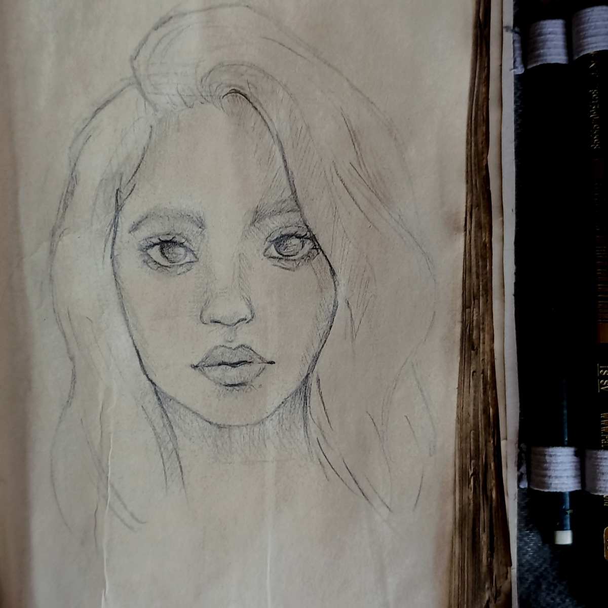 Meu projeto do curso: Caderno de retratos: explore o rosto humano ...