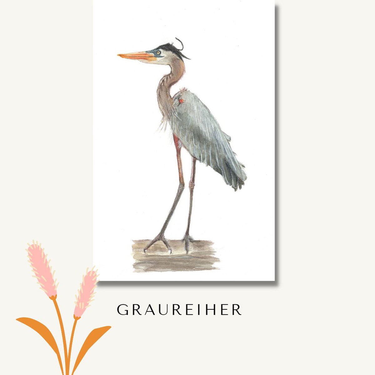 Mein Abschlussprojekt Für Den Kurs Naturalistische Aquarellillustration Von Vögeln Domestika 8998