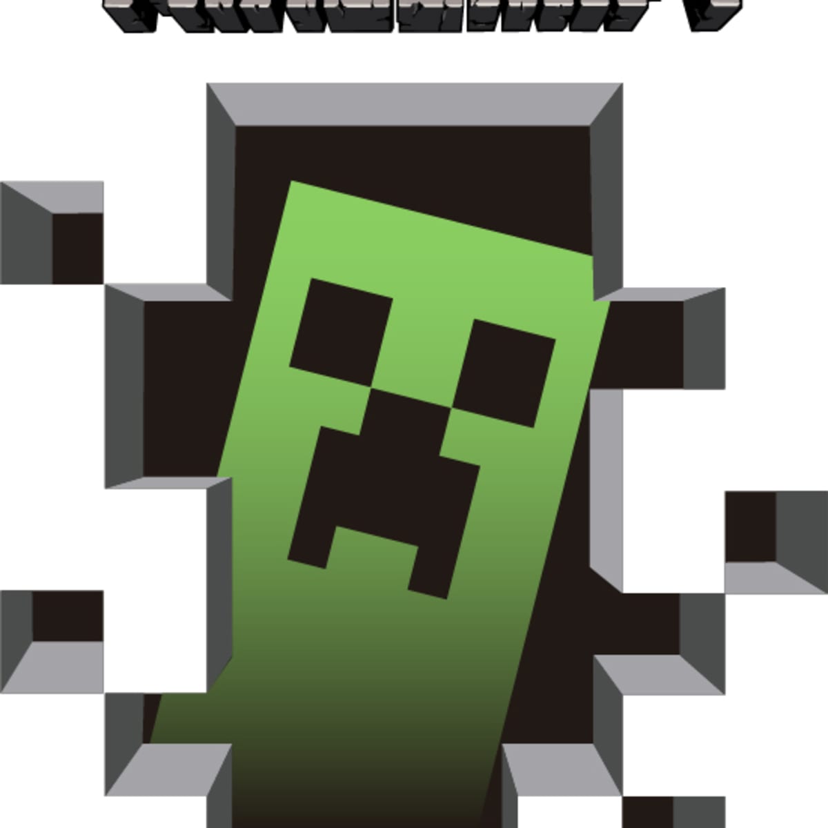 Camiseta Minecraft | Domestika